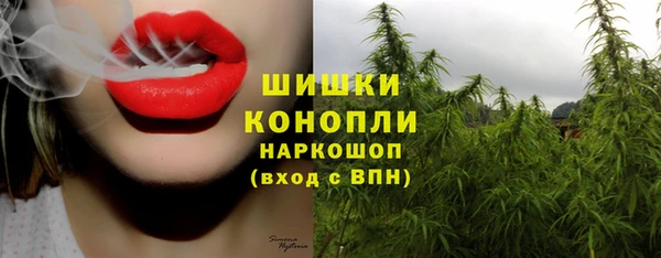 гидропоника Новокубанск