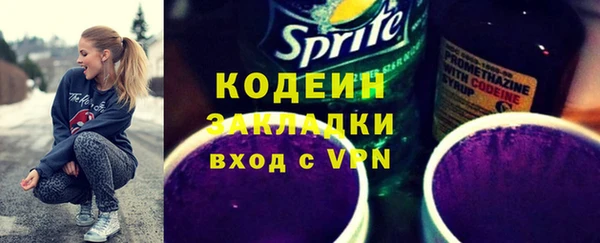 эйфоретик Няндома