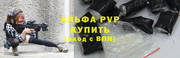 эйфоретик Няндома