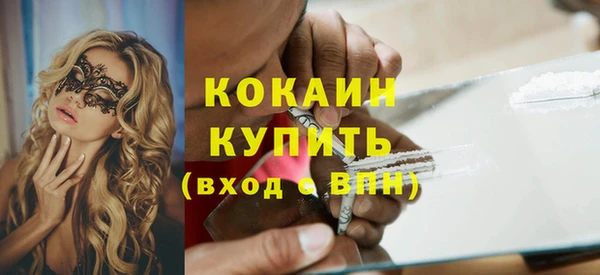 эйфоретик Няндома