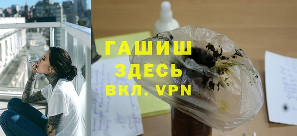 эйфоретик Няндома