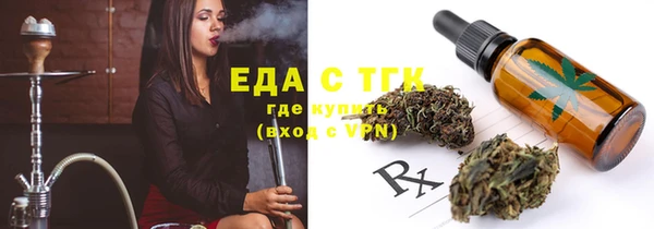 эйфоретик Няндома