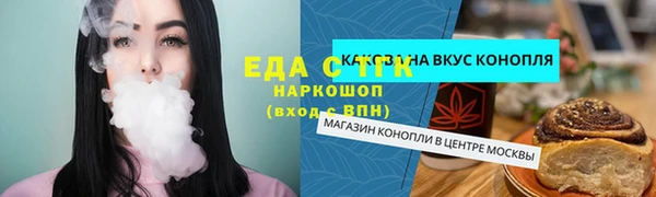 эйфоретик Няндома